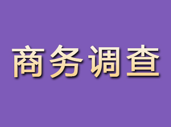 峄城商务调查